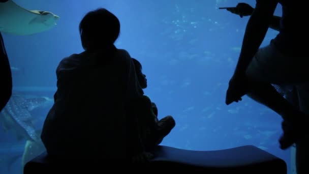 Kind Zit Tussen Twee Volwassenen Osaka Aquarium — Stockvideo