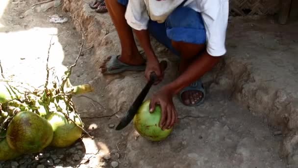 Jovem Nativo Está Cortando Jovem Coco Usando Facão Bolo — Vídeo de Stock