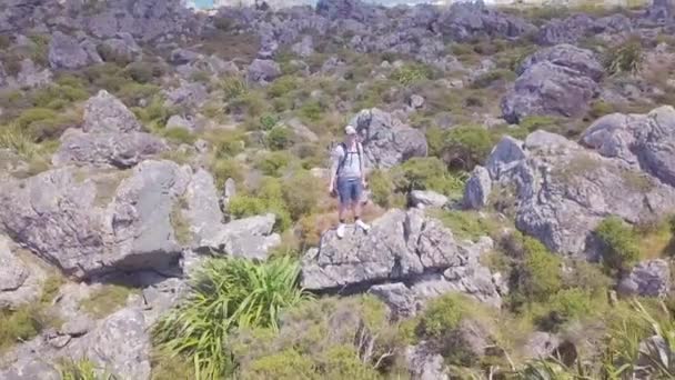Aerial Pan Lost Hiker New Zealand Rugged Coastline — Stock Video
