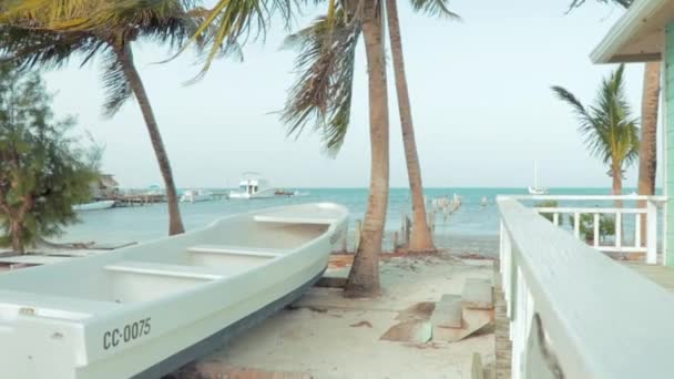 Trópusi Nyugodt Óceáni Szellő Lengő Pálmafák Fehér Homokos Strand Karib — Stock videók