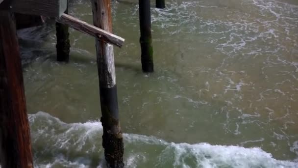 Kaksi Kyyhkystä Newport Beach Pierillä — kuvapankkivideo