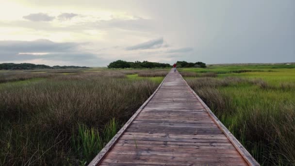 Muž Neuspěchaně Kráčí Promenádě Pobřežní Bažině Fort Fisher North Carolina — Stock video