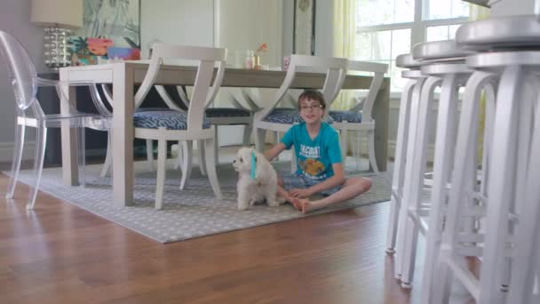 Little Boy His Maltipoo Sit Floor Dining Room Pose Camera — Stock Video