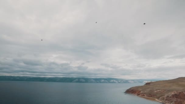 贝加尔湖的海鸥 — 图库视频影像