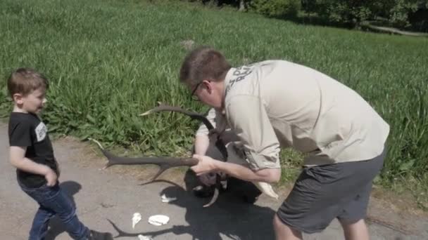 Vahşi Orman Korucusu Boynuzlu Küçük Geyik Kafatasını Gösteriyor — Stok video