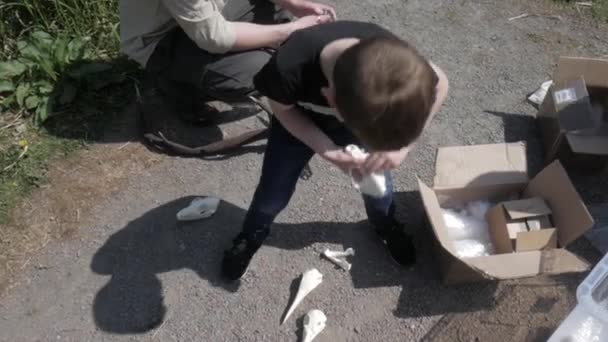 Νεαρό Παιδί Που Εξετάζει Διάφορα Κρανία Ζώων Στην Εκπαίδευση Διδακτική — Αρχείο Βίντεο
