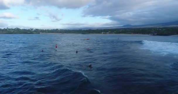 Aeril Beelden Van Een Man Surfen Een Golf Met Een — Stockvideo