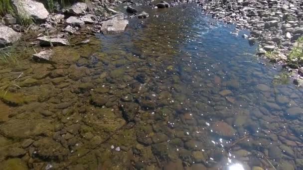 缓慢的运动穿过岩石河中的流水 — 图库视频影像