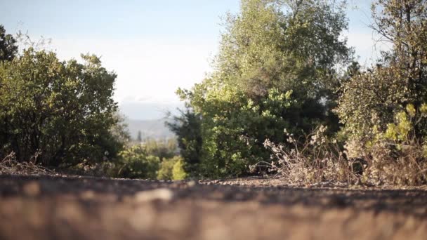 Mountain Bike Giro Bicicletta Fotocamera — Video Stock