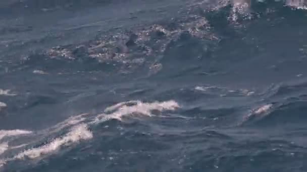 Mer Déplaçant Lentement Sur Une Croisière — Video
