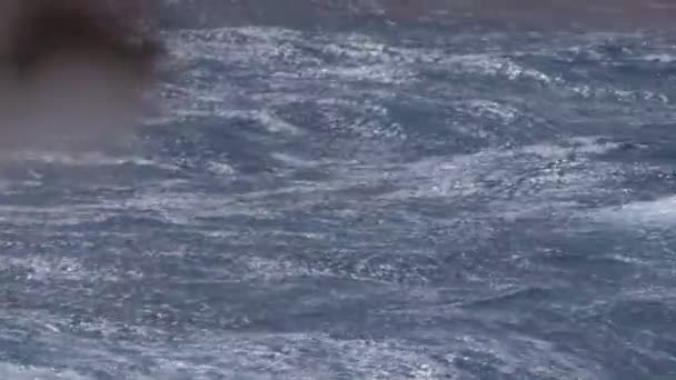 クルーズで流れている海は — ストック動画