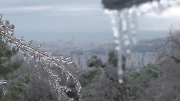 Detalhes Durante Geada Envidraçada — Vídeo de Stock