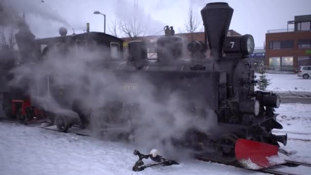 Dampflokomotive Der Schmalspurbahn Mit Lokführer Nähert Sich Bahnhof Voller Dampf — Stockvideo