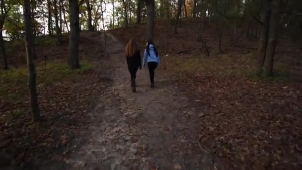 Dvě Dívky Chodí Povídají Lese — Stock video