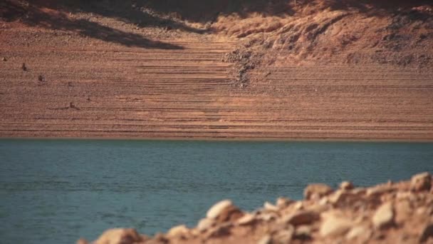 Wakeboarder Skibåd Søen Sommertiden – Stock-video