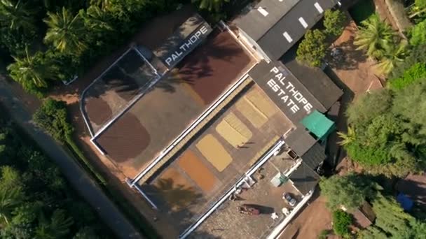 Luchtfoto Van Werknemers Sorteren Schoonmaken Van Koffiebonen Koffielandgoed Gefilmd Door — Stockvideo