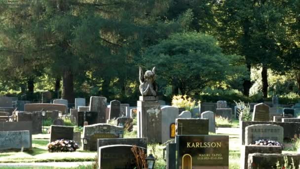 Vue Sur Cimetière Les Pierres Tombales — Video