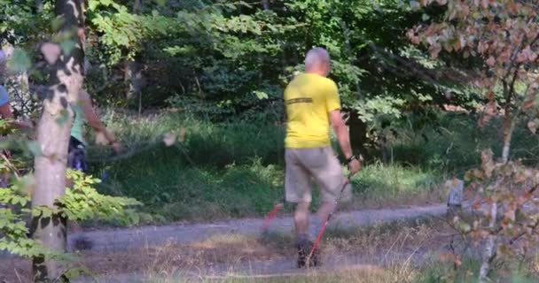 Äldre Personer Nordic Walking Training Forest — Stockvideo