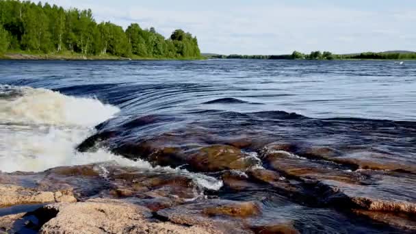 Man Grabs Κύπελλο Του Νερού Από Τον Ποταμό Στο Δάσος — Αρχείο Βίντεο