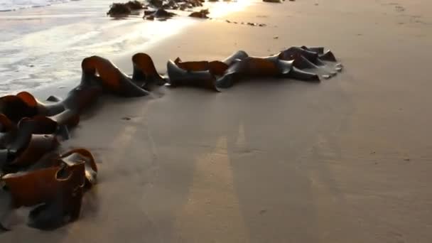 Nah Sand Und Wasser — Stockvideo