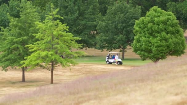 Chariot Golf Sur Fairway — Video