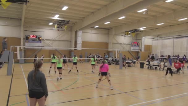 Chicas Jugando Voleibol Interior Juego — Vídeo de stock