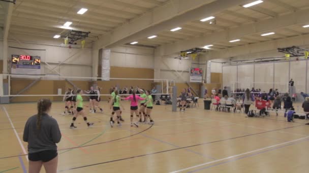 Chicas Jugando Voleibol Interior Juego — Vídeo de stock