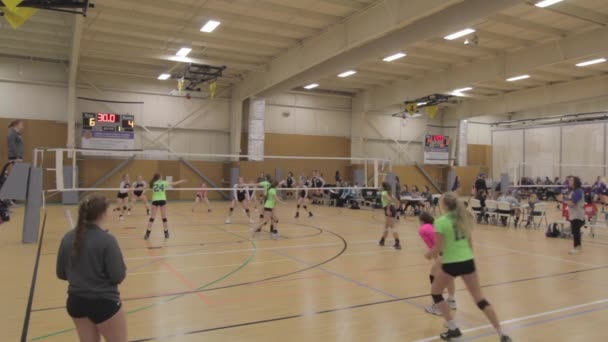 Девочки Играют Волейбол — стоковое видео