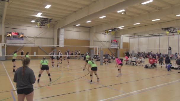 Chicas Jugando Voleibol Interior — Vídeo de stock