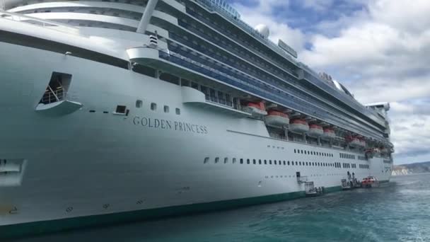 Beelden Van Een Cruiseschip Uit Oceaan — Stockvideo