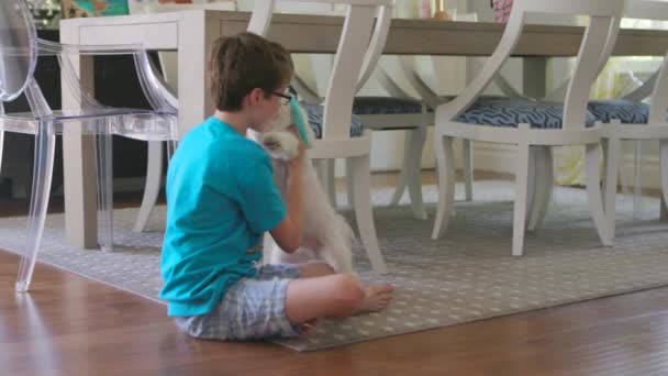 Roztomilý Chlapeček Objímá Svého Psa Podlaze Jídelny — Stock video