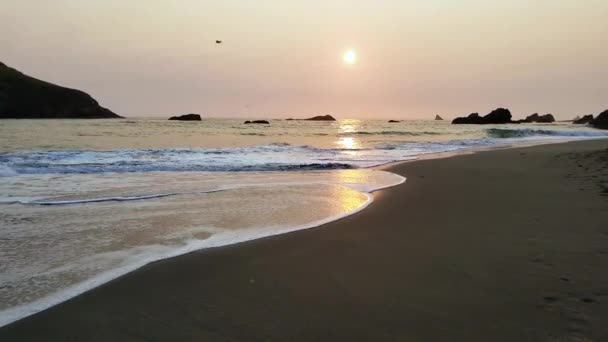 Żuraw Nad Dziennikiem Zachodu Słońca Harris Beach — Wideo stockowe