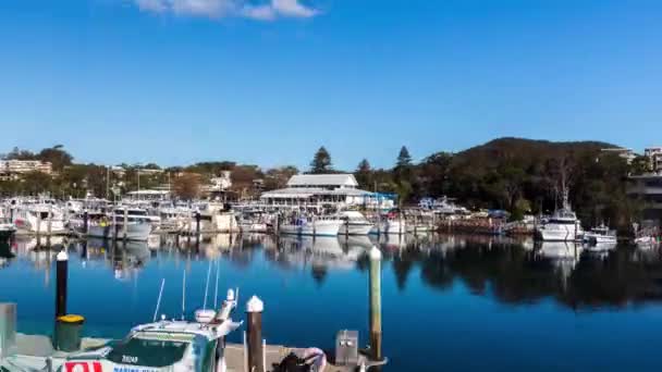 Hyperlapse Gevangen Langs Breukmuur Van Nelson Bay Marina — Stockvideo