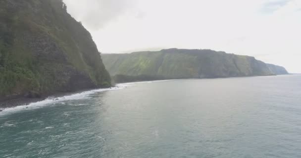 Широке Повітряне Повітря Незайманого Узбережжя Гаваїв — стокове відео