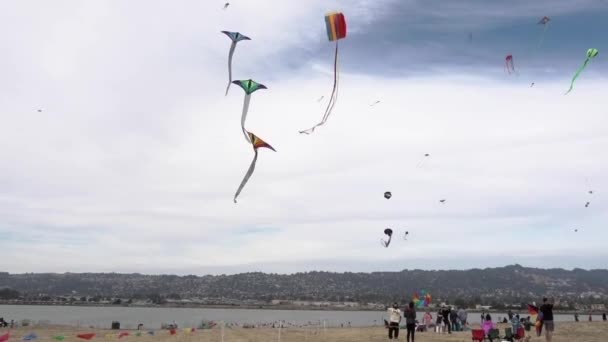 Άνθρωποι Απολαμβάνουν Παραστάσεις Στο Berkeley Kite Festival Στην Καλιφόρνια — Αρχείο Βίντεο