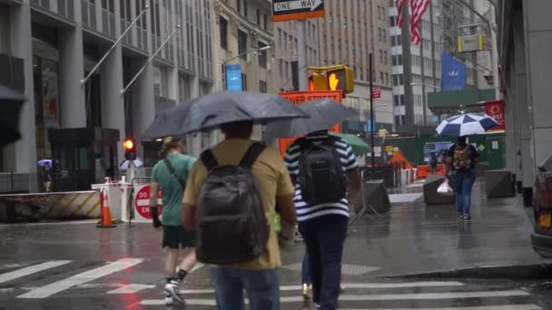 Люди Зонтиками Переходят Улицу Дождливый День — стоковое видео