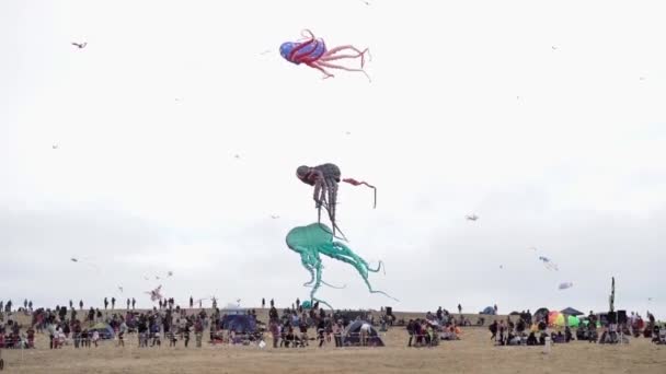 Jättebläckfiskdrakar Som Flyger Vinden Berkeley Kite Festival Kalifornien — Stockvideo