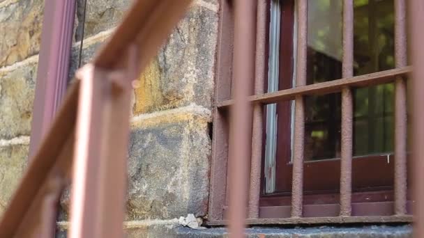 Jim Thorpen Vankilan Lukittu Ikkuna Pennsylvaniassa — kuvapankkivideo