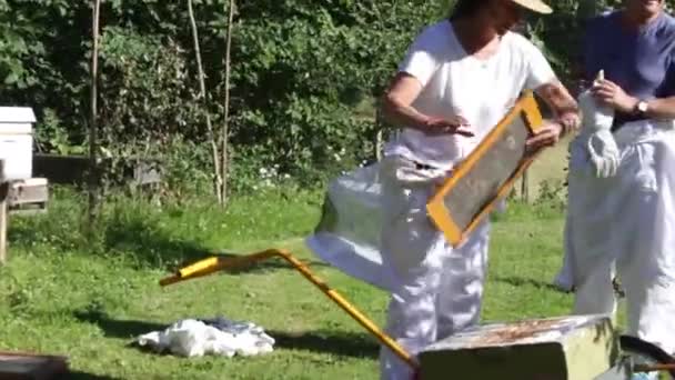 Γυναίκα Που Ετοιμάζει Μελισσοκομικό Εξοπλισμό — Αρχείο Βίντεο