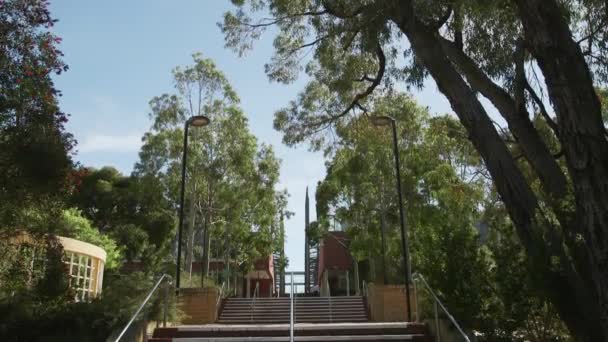 Universitätsgelände Mit Vögeln Studenten Und Bäumen Einem Sonnigen Tag — Stockvideo