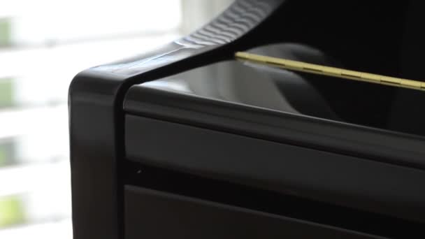 Hand Opent Een Zwarte Grand Piano — Stockvideo