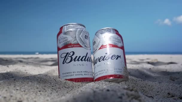 Budweiser Κονσερβοποιημένη Μπύρα Σκιασμένη Μια Παραλία Λευκή Άμμο Και Μπλε — Αρχείο Βίντεο