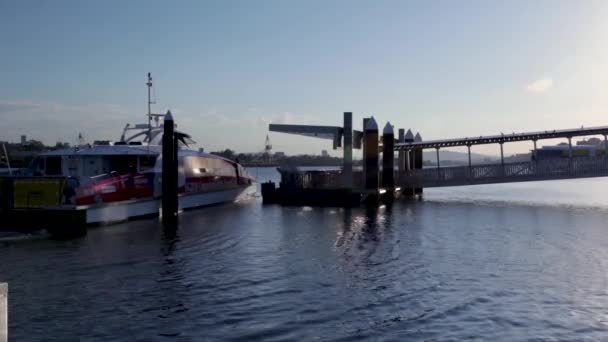 Brisbane Citycat Opouští Trajektový Terminál Northshore Míří Západu Slunce — Stock video