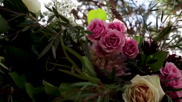 Ceci Est Court Clip Quelques Fleurs Avec Éblouissement Soleil Dans — Video