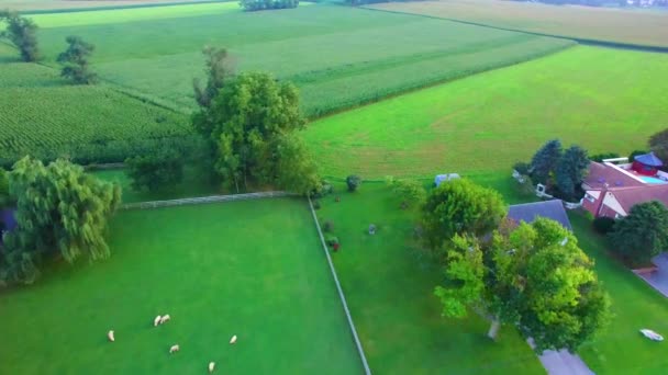 Amish Platteland Amish Huizen Door Drone — Stockvideo