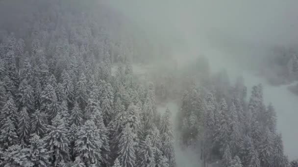 Snörik Vinter Fjällen — Stockvideo