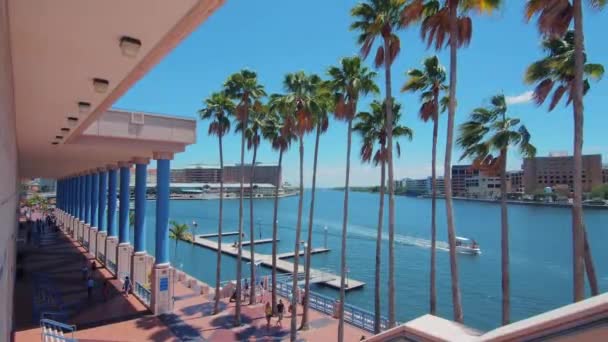Tampa Bay Convention Center Docks River Walk — Stock Video