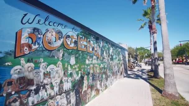 Street Art Mural Dog Dunedin Florida — Stock Video