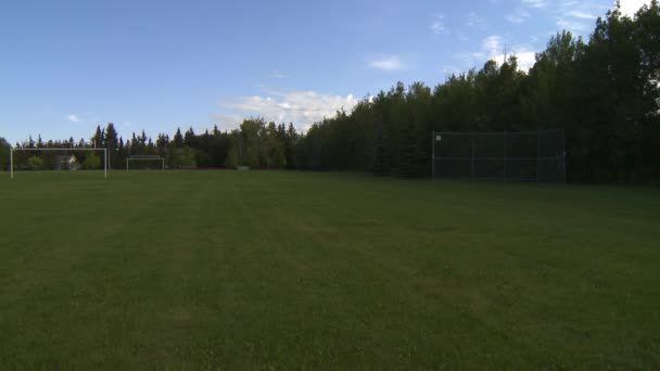 Campo Fútbol Bien Cuidado Flanqueado Por Árboles Bajo Cielo Azul — Vídeos de Stock