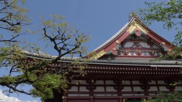 Άποψη Του Ναού Senso Στην Ασακούσα Τόκιο — Αρχείο Βίντεο